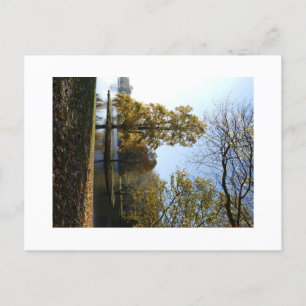 Cartão Postal Cartão-postal de árvore bonito