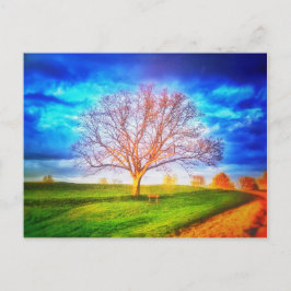 Cartão Postal Cartão-postal de árvore de carvalho