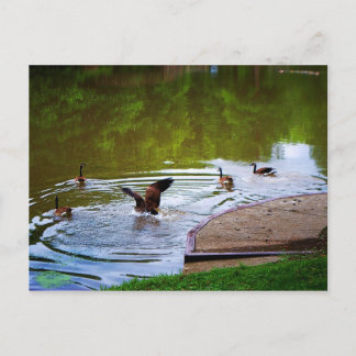 Cartão Postal Cartão-postal de aterrissagem suave