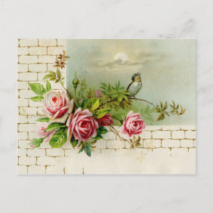 Cartão Postal Cartão-postal de aves canoras e Rosas