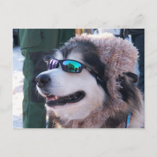 Cartão Postal Cartão-postal de Banshee