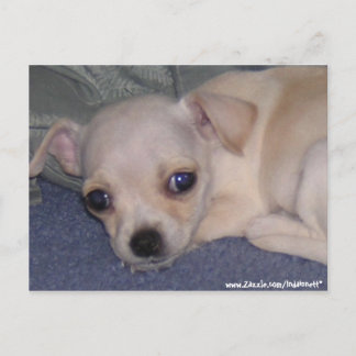 Cartão Postal Cartão-postal de bebê.