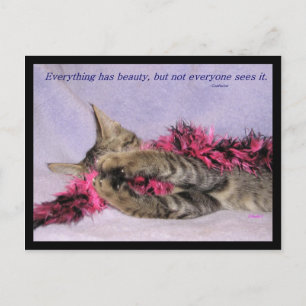 Cartão Postal Cartão-postal de beleza