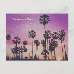 Cartão Postal Cartão-postal de Bienvenidos a Miami Palm Trees