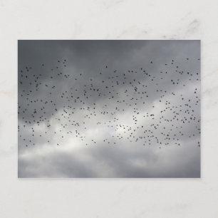 Cartão Postal Cartão-postal de bloqueio