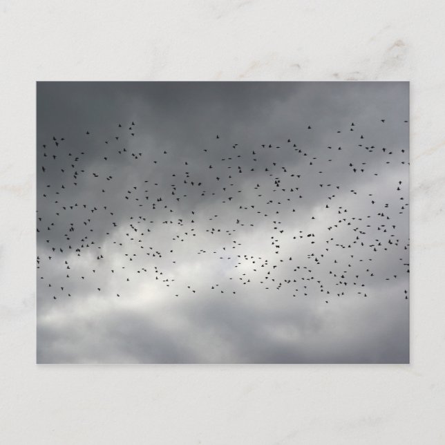 Cartão Postal Cartão-postal de bloqueio (Frente)