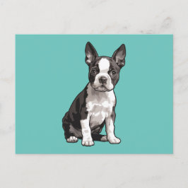 Cartão Postal Cartão-postal de BoBoston Terrier Puppy Dog