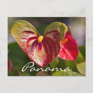 Cartão Postal Cartão-postal de Boquete, Panamá