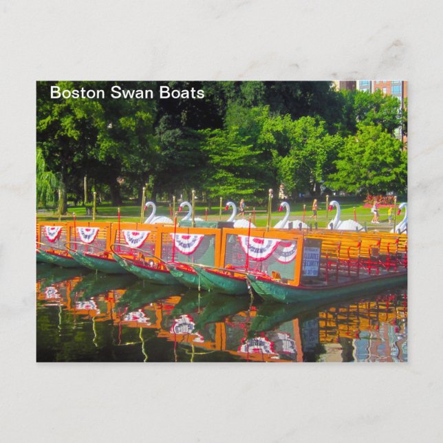 Cartão Postal Cartão-postal de Boston Swan Boats (Frente)