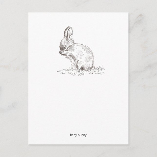 Cartão Postal Cartão-postal de Bunny Bebê (Frente)