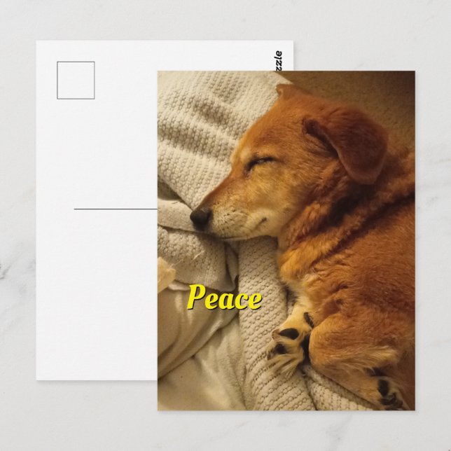 Cartão Postal Cartão-postal de cachorro sorridente (Frente/Verso)