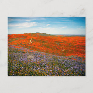 Cartão Postal Cartão-postal de campo popular