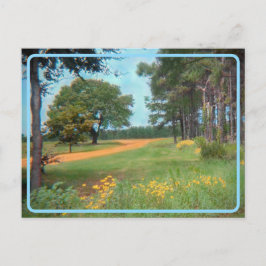 Cartão Postal Cartão-postal de campo Vintage Flower