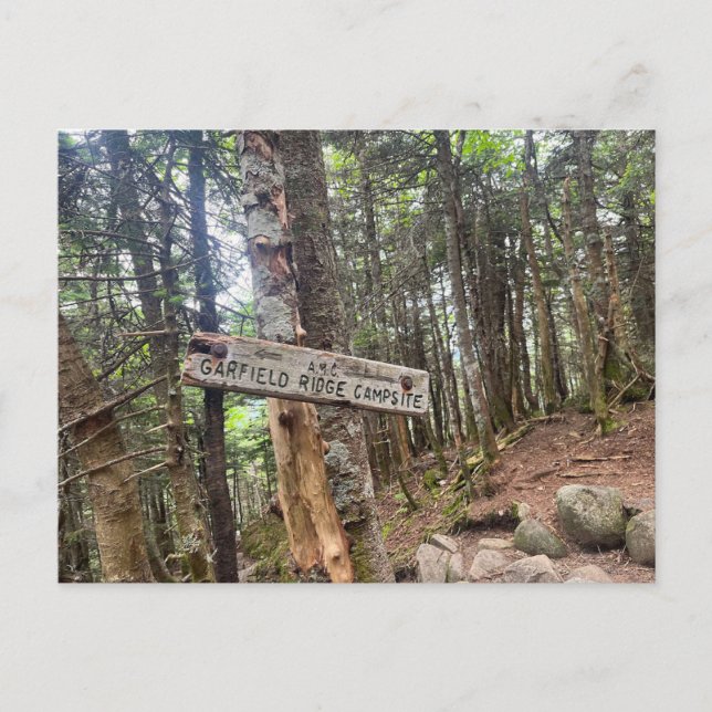 Cartão Postal Cartão-postal de Campsite Garfield Ridge Mounts Wh (Frente)