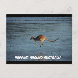 Cartão Postal Cartão-postal de canguru australiano