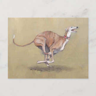 Cartão Postal Cartão-postal de Cão Greyhound