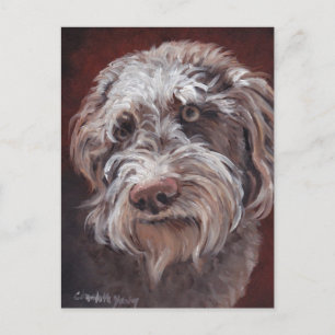 Cartão Postal Cartão-postal de Cão Labradoodle