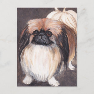 Cartão Postal Cartão-postal de cãozinho de Pekingese