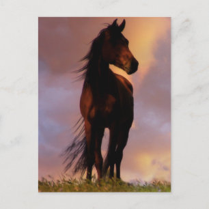Cartão Postal Cartão-postal de cavalos