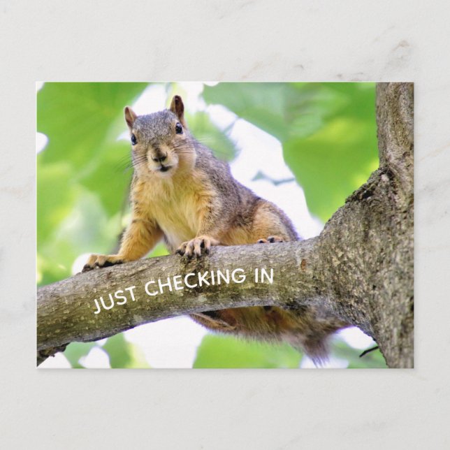 Cartão Postal Cartão-postal de check-in (Frente)