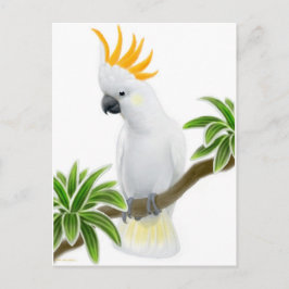 Cartão Postal Cartão-postal de Cockatoo Detido Citron