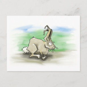 Cartão Postal Cartão-postal de coelho