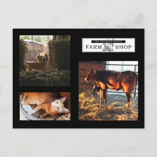 Cartão Postal Cartão-postal de Colagem do Jardim Kitchens