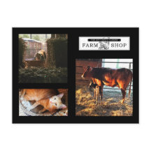 Cartão-postal de Colagem do Jardim Kitchens