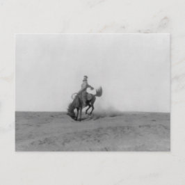 Cartão Postal Cartão-postal de compra do Bronco