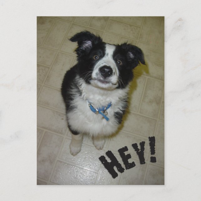 Cartão Postal Cartão-postal de cópia (Frente)