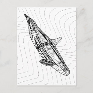 Cartão Postal Cartão-postal de cor para adultos Orca