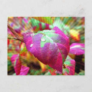 Cartão Postal Cartão-postal de cores do outono