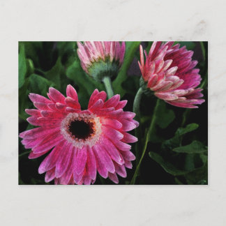 Cartão Postal Cartão-postal de Daisies Pintado