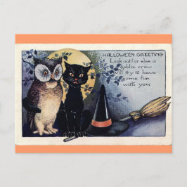 Cartão Postal Cartão-postal de Dia das Bruxas de Coruja e Gato N