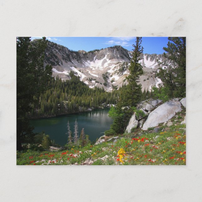 Cartão Postal Cartão-postal de Doces (Frente)