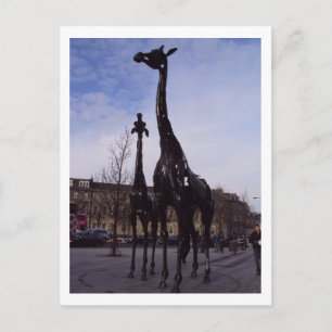 Cartão Postal Cartão-postal de Edimburgo Girafas