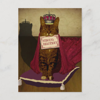 Cartão Postal Cartão-postal de entrega especial King Cat