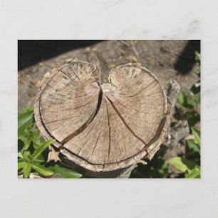 Cartão Postal Cartão-postal de espaçamento de coração dividido