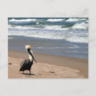 Cartão Postal Cartão-postal de espera