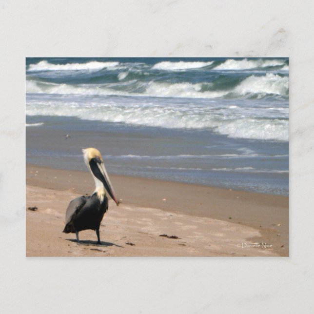 Cartão Postal Cartão-postal de espera (Frente)