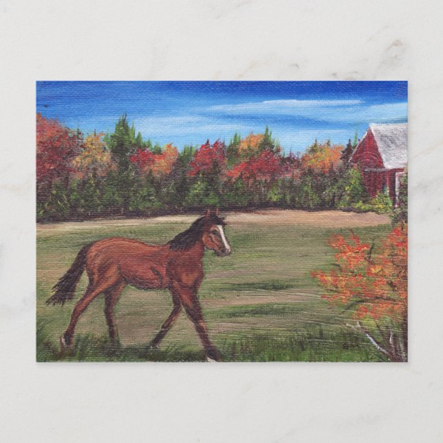 Cartão Postal Cartão-postal de execução de liberdade (Frente)