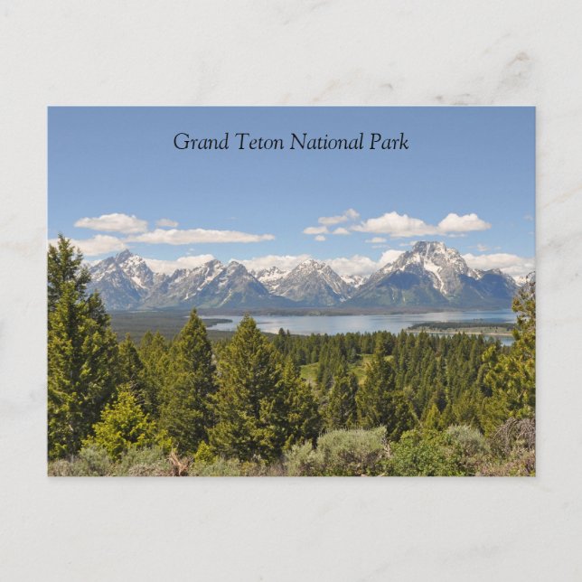 Cartão Postal Cartão-postal de exibição cênico Grand Teton (Frente)