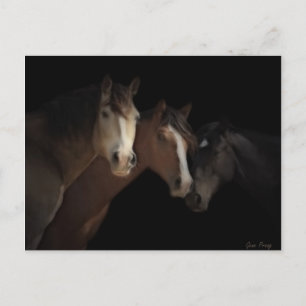 Cartão Postal Cartão-postal de fantasmas do deserto