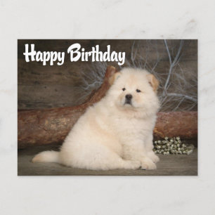 Cartão Postal Cartão-postal de Feliz Aniversário Chow Chow Puppy