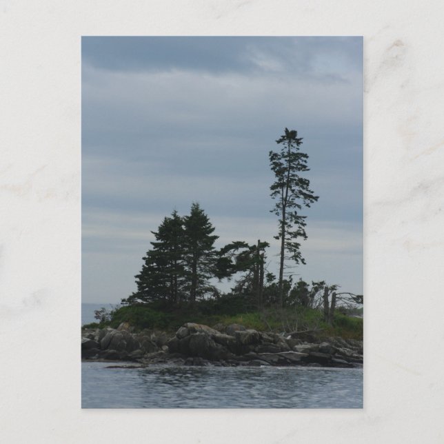 Cartão Postal Cartão-postal de férias (Frente)