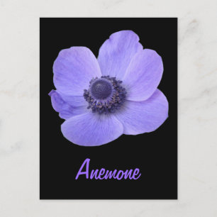 Cartão Postal Cartão-postal de flor azul personalizável