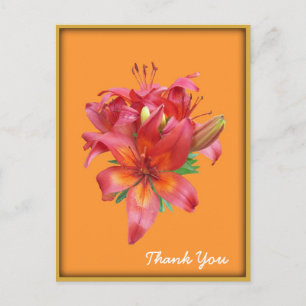 Cartão Postal Cartão-postal de Flor Lily de Dia Laranja