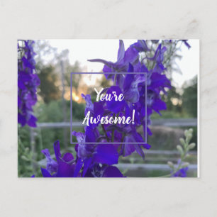 Cartão Postal Cartão-postal de Flor Roxo