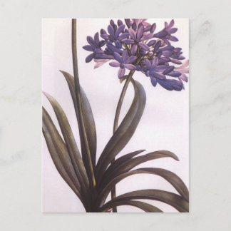 Cartão Postal Cartão-postal de Flor Roxo de Atualização Vintage
