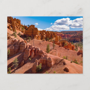 Cartão Postal Cartão-postal de Foto Dixie National Forest Landsc